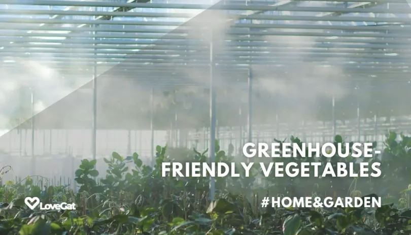 Choosing Vegetables That Thrive in a Controlled Greenhouse