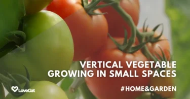 Vertical Vegetable Growing in Small Spaces