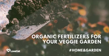 Creating Organic and Natural Fertilizers for Your Vegetable Garden