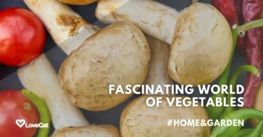 Fascinating World of Vegetables: Facts, Trivia, and Wonders