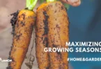 Maximizing Your Growing Season and Extending Harvest Times