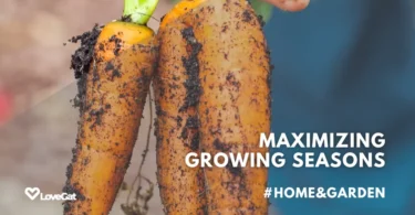 Maximizing Your Growing Season and Extending Harvest Times