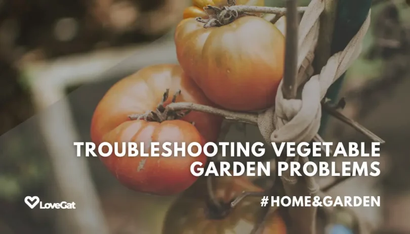 Identifying and Solving Common Issues Encountered in Vegetable Gardens