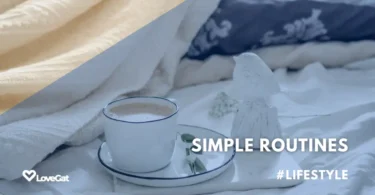 Mornings Made Easy: Simple Routines for a Productive Day