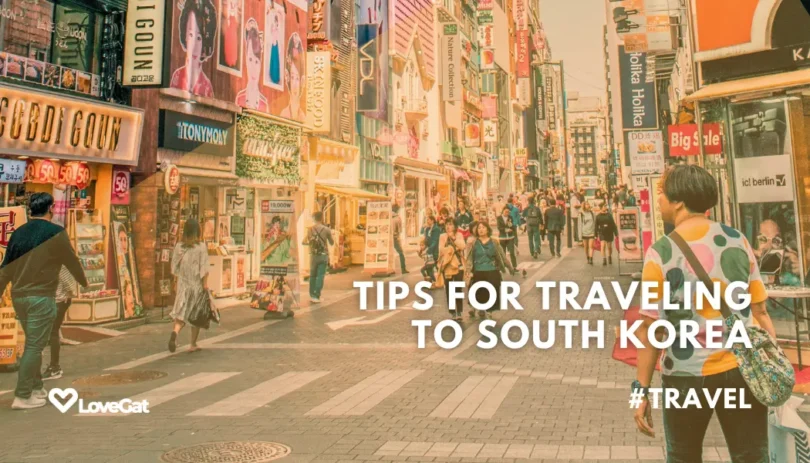 The Most Important Tips Before Traveling to South Korea