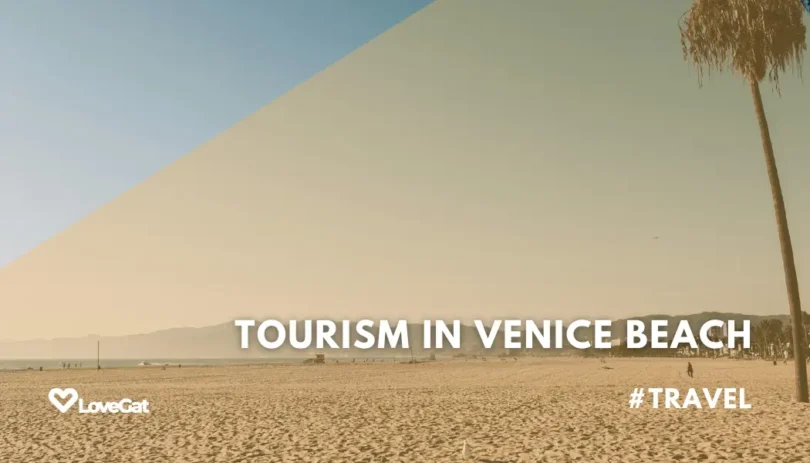 Complete Guide to Tourism in Venice Beach
