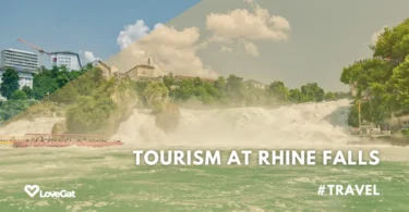 Complete Guide to Tourism at Rhine Falls
