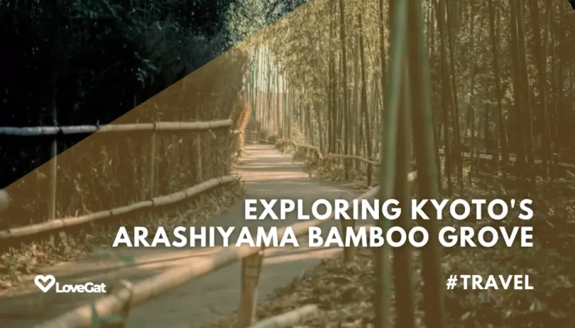 Kyoto Arashiyama Bamboo Grove Sunrise Stroll