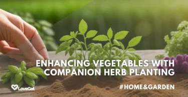 companion planting herbs