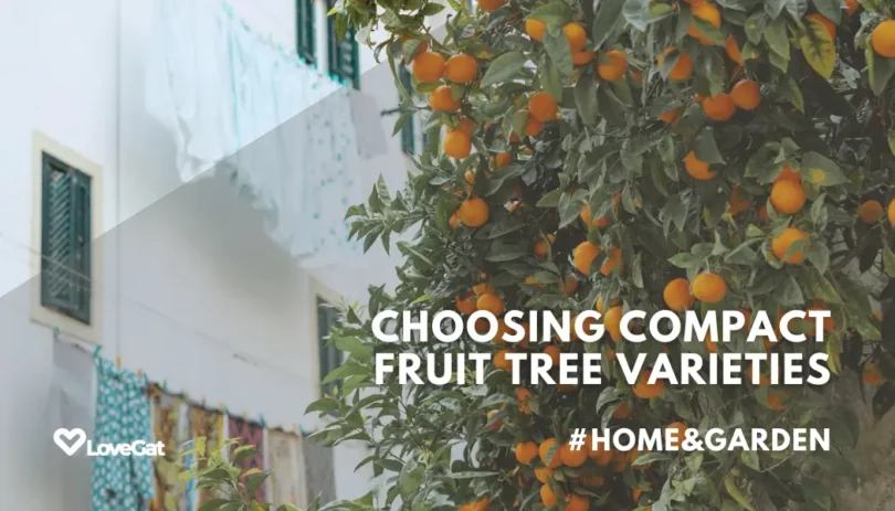 fruit tree varieties for limited space