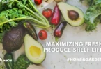 Techniques for Maximizing the Shelf Life of Fresh Fruits and Vegetables